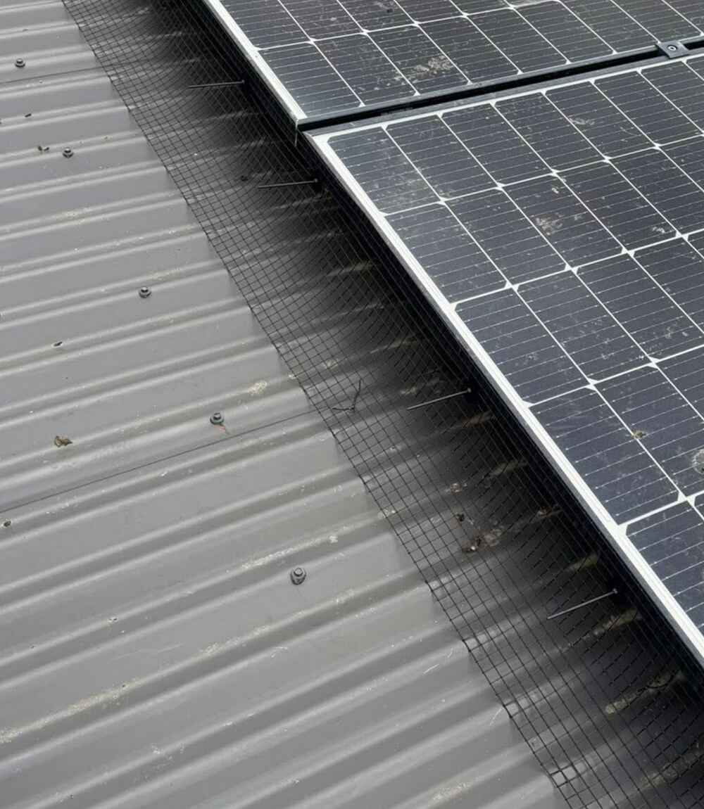Solar panel bird proofing mesh installed by Doctor Pesty to stop birds nesting underneath