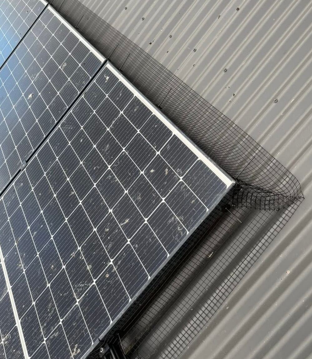 Close-up of solar panel mesh skirting fitted along the edge of a roof to exclude birds