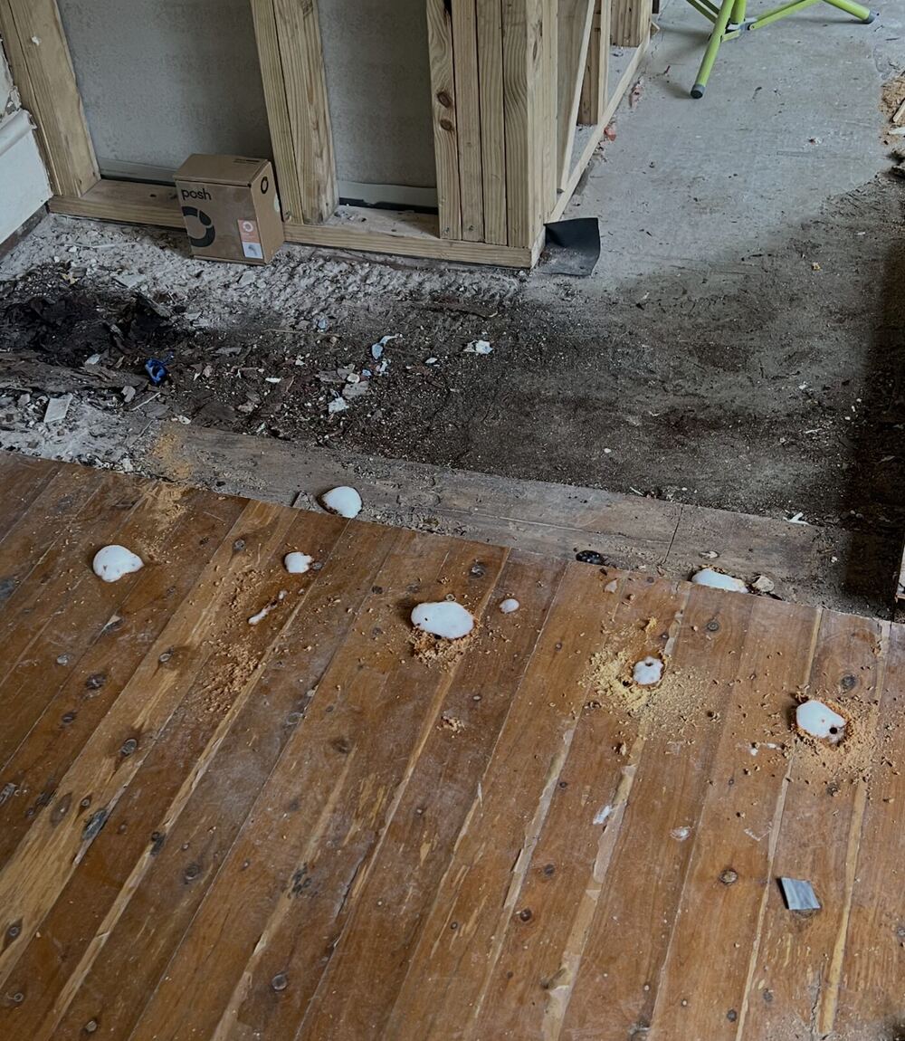 Termite damage and live termites found under flooring during inspection