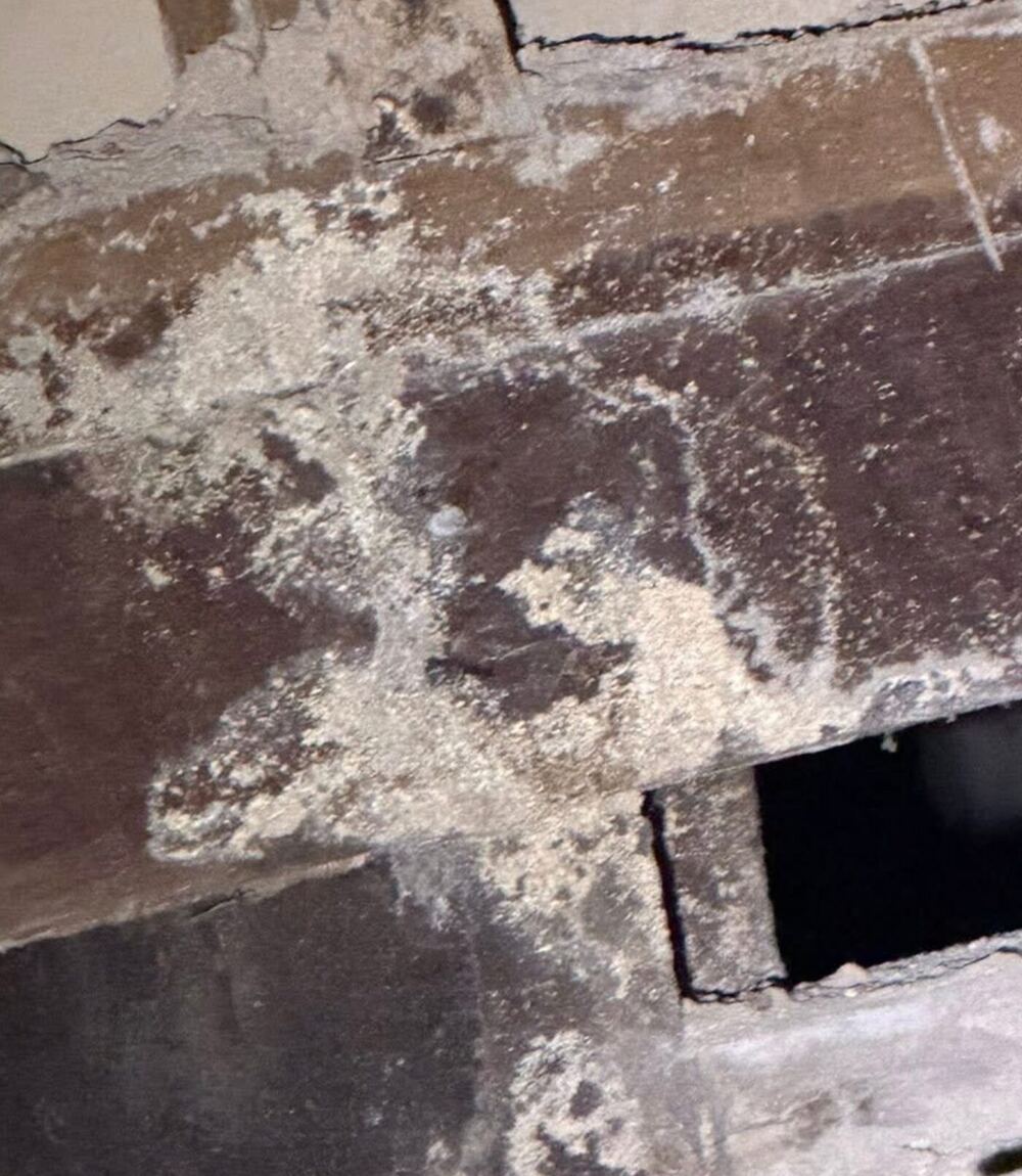 Close-up of timber damage caused by termite activity